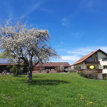 Bauer Haug Apartment Dietmannsried Bagian luar foto